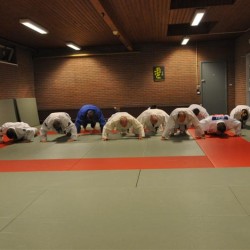 DSC 0062  Medium - Judoclub Zaventem 